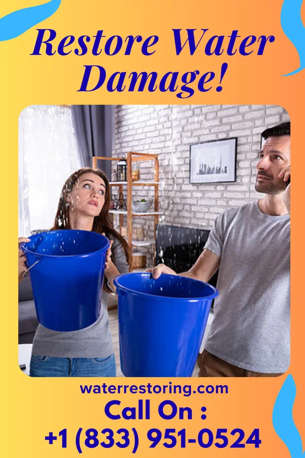water restoration Local Cleanup Company River Bluff