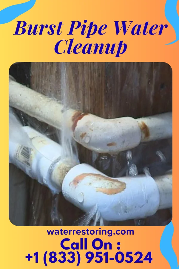Burst Pipe Water Cleanup in River Bluff, KY