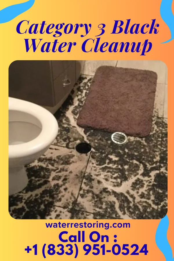 Category 3 Black Water Cleanup in River Bluff, KY