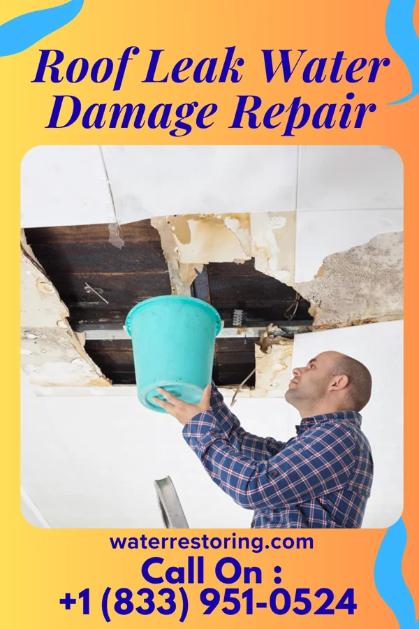 Roof Leak Water Damage Repair in River Bluff, KY