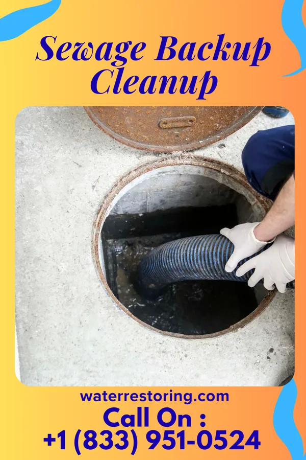 Sewage Backup Cleanup in River Bluff, KY