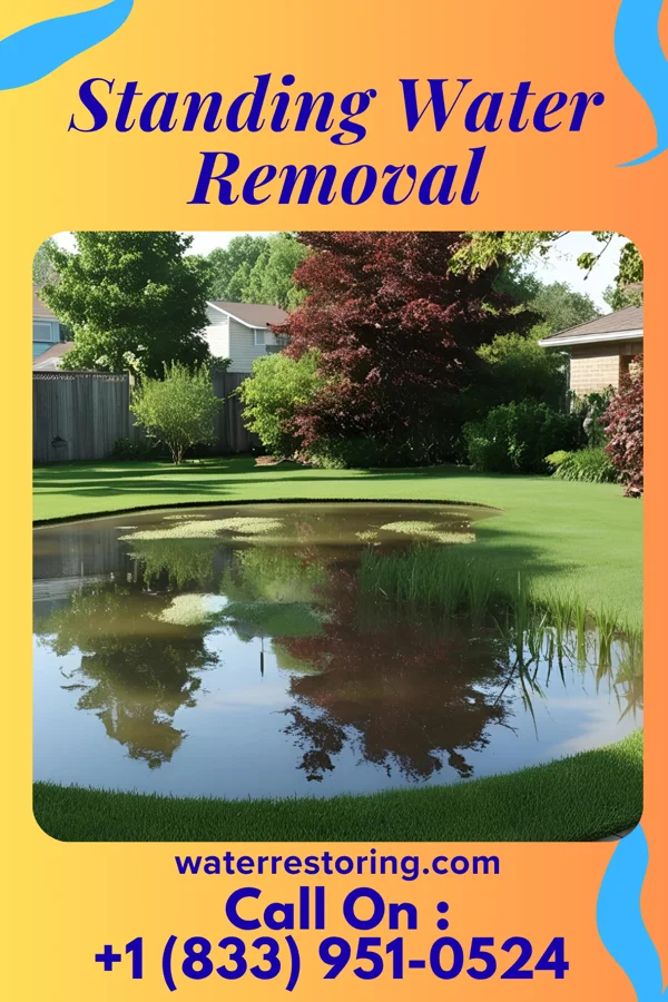 Standing Water Removal in River Bluff, KY